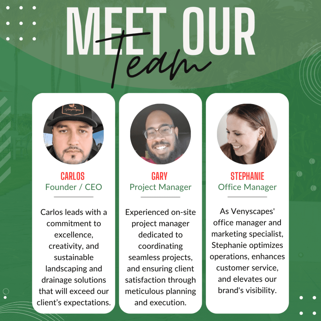 Brown White Creative Meet Our Team Instagram Post