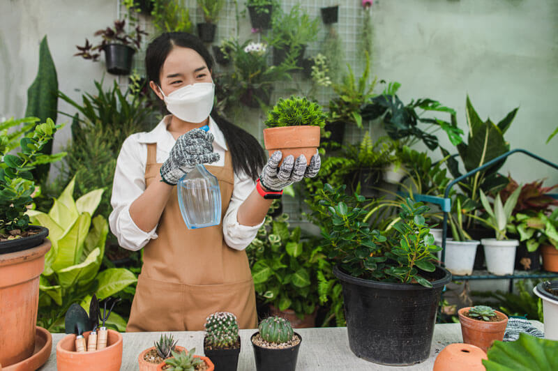 Backyard Design & Planning