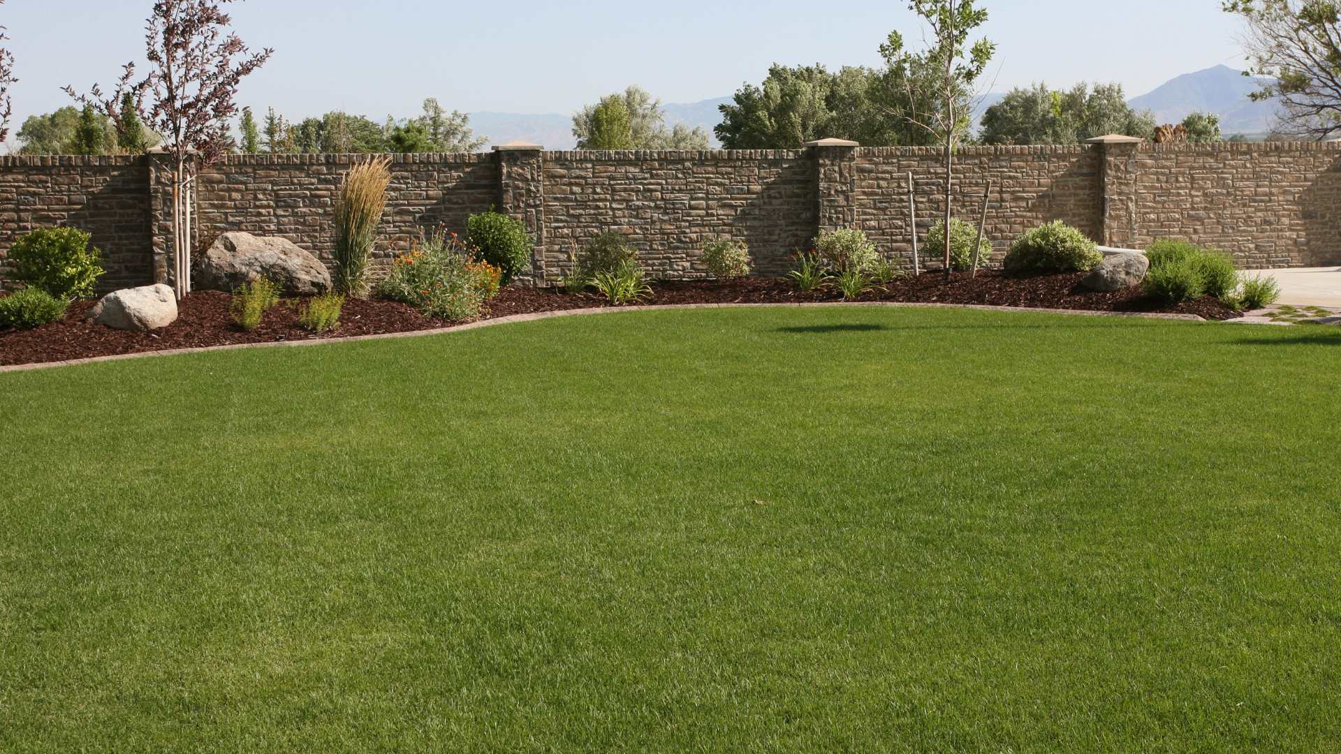 yards with poor drainage