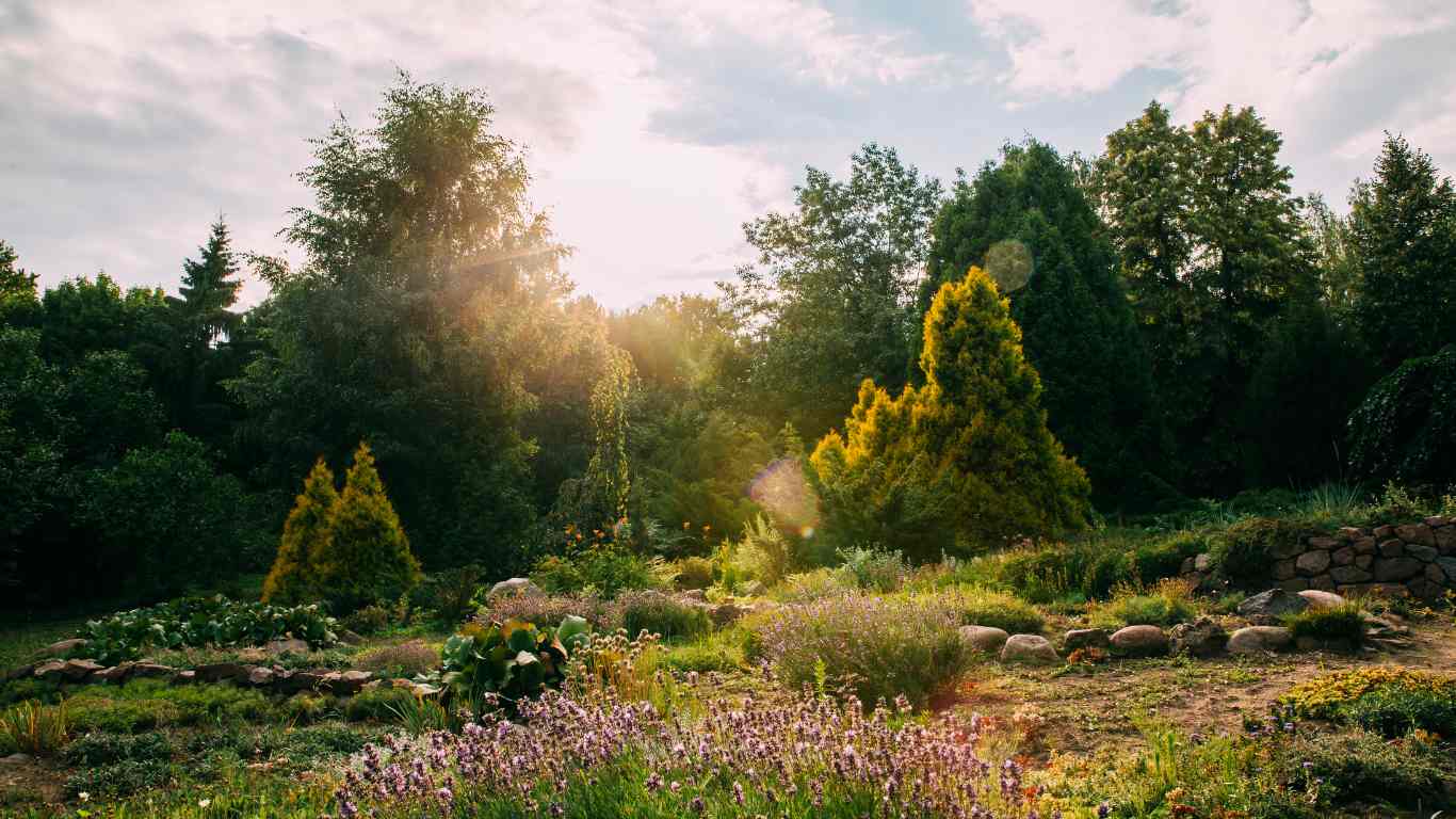 Sod Installation (Natural Grass)