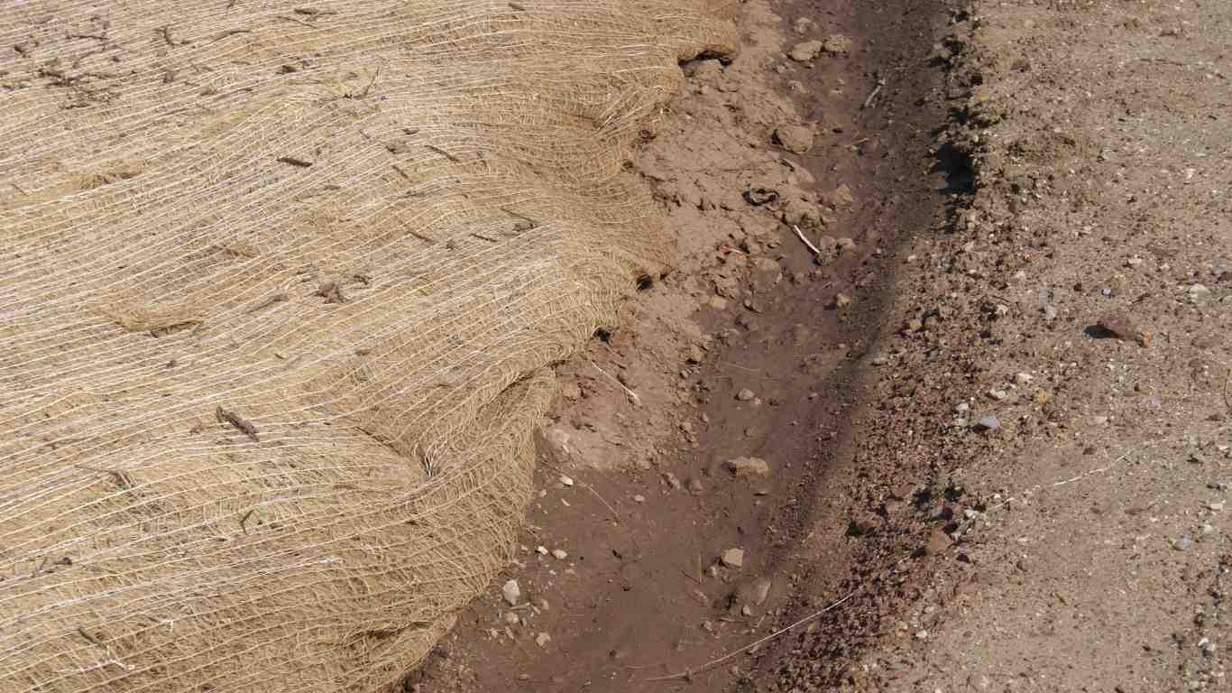 Dry Wells / Flow Wells