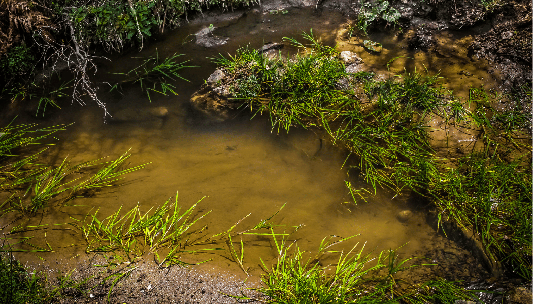 Dry Wells / Flow Wells