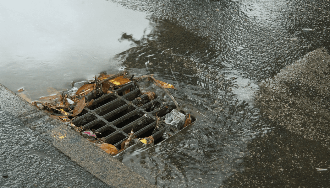Drain Maintenance