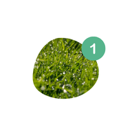 Artificial Turf Installation