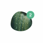 Custom Water Features