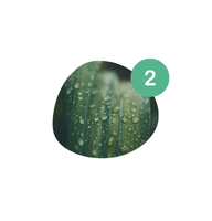 Custom Water Features