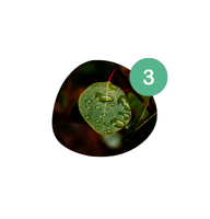 Landscaping in Atlanta